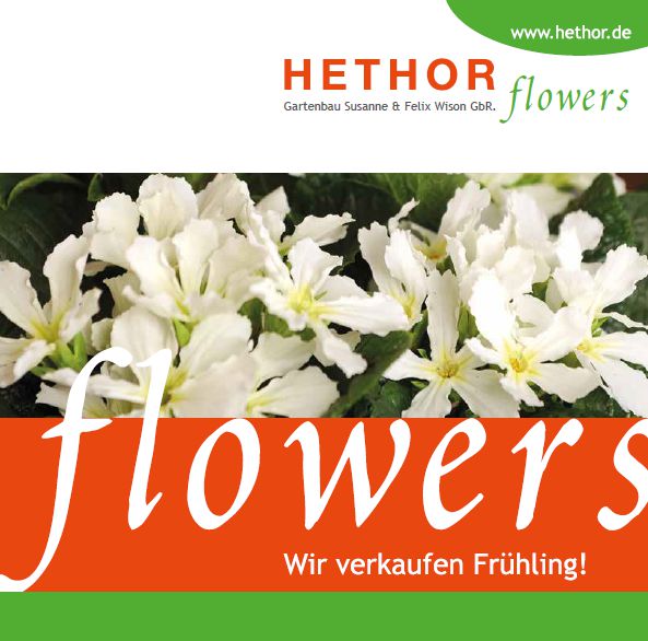 Hethor